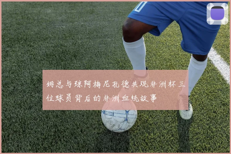 姆总与琼阿梅尼孔德共观非洲杯三位球员背后的非洲血统故事